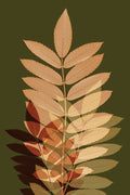 Folhas de Outono 2 — Winstanley, Ian
