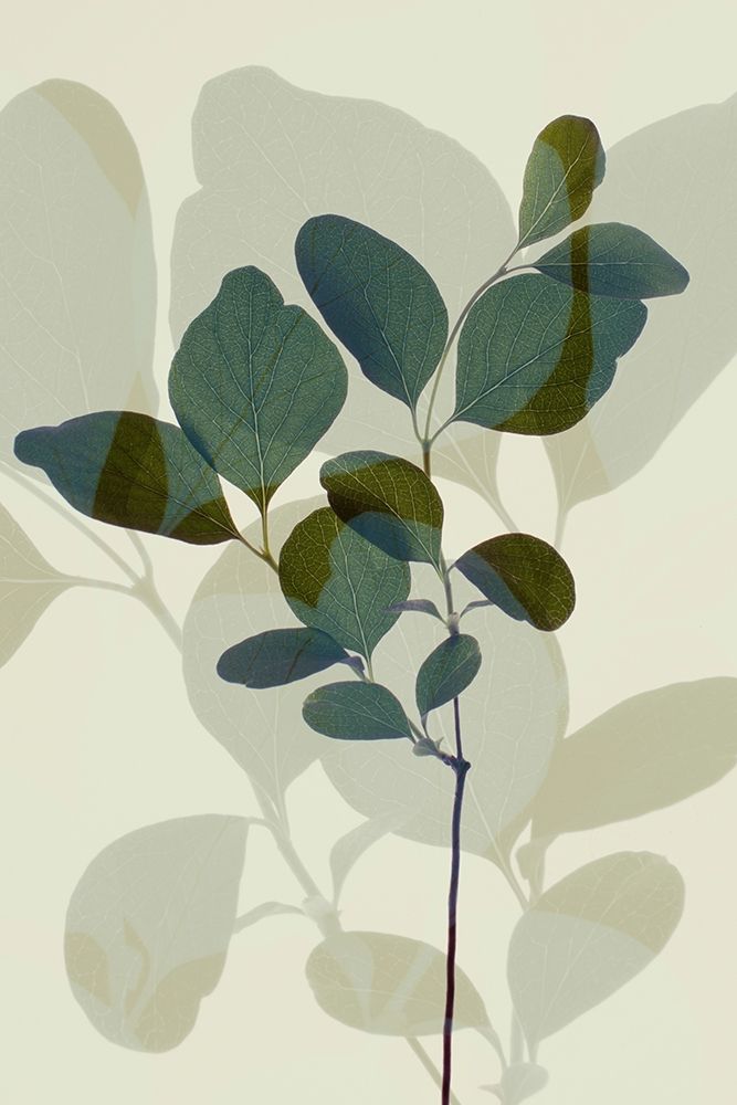 Folhas Verdes 7 — Winstanley, Ian