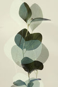 Folhas Verdes 8 — Winstanley, Ian