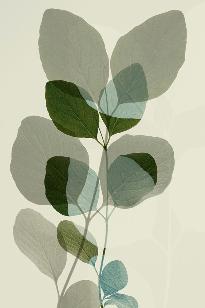 Folhas Verdes 10 — Winstanley, Ian