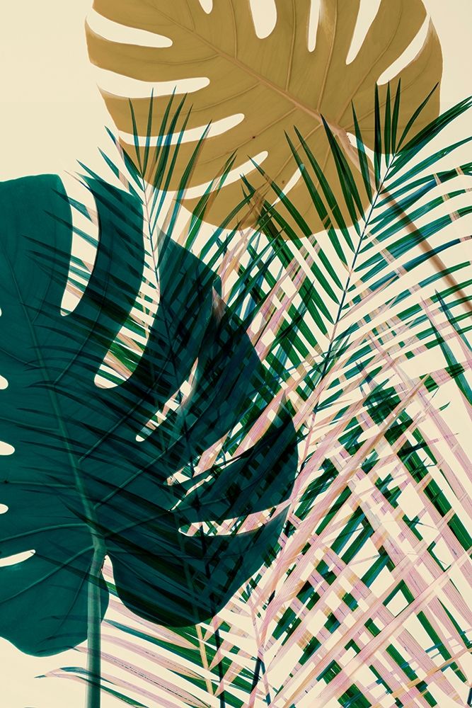 Exposição 5 — Winstanley, Ian