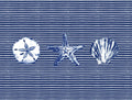 Oceano Azul Listrado Coleção — Gaynor, Janice