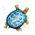 Tortuga Azul — quadrado — Pinto, Patricia