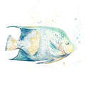 Pescado Azul — quadrado — Pinto, Patricia