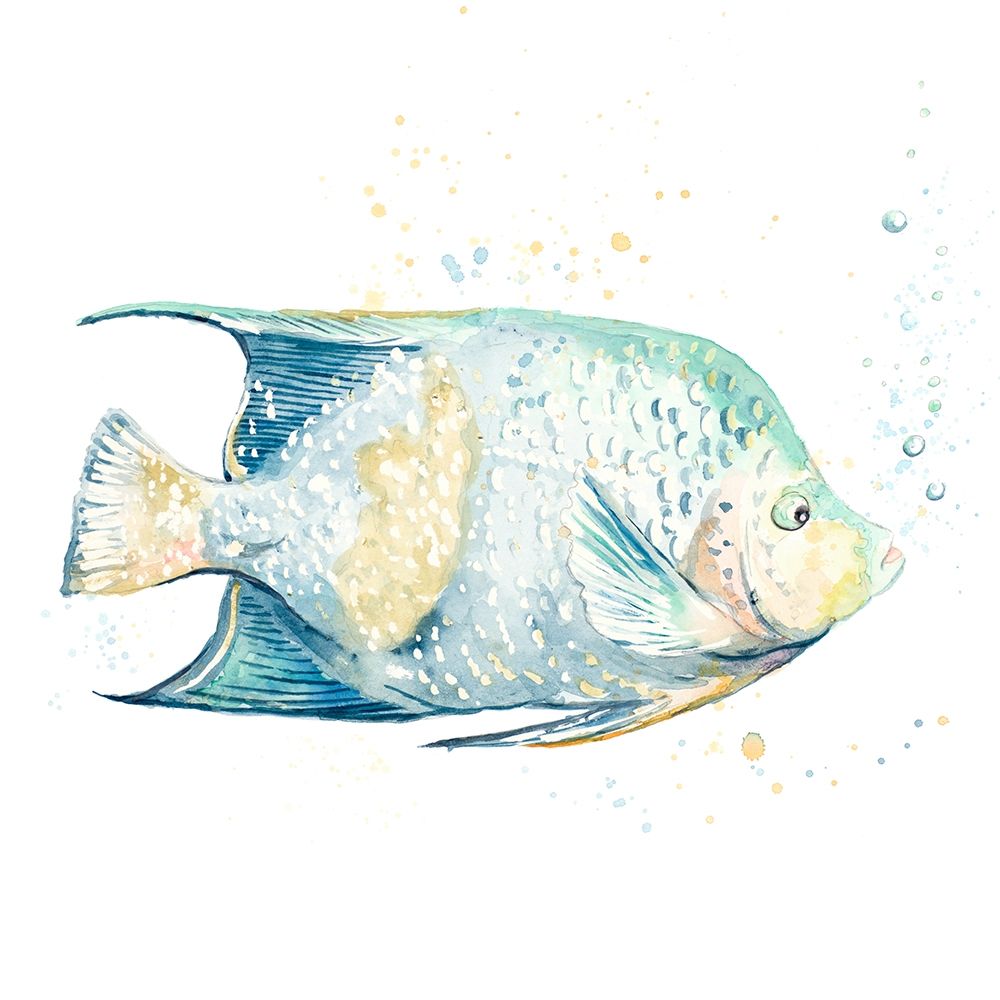 Pescado Azul — quadrado — Pinto, Patricia