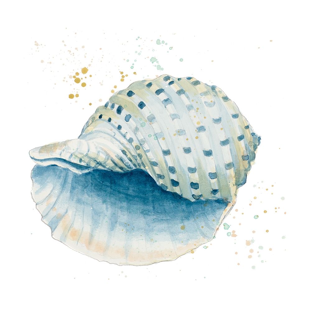 Caracol Azul — quadrado — Pinto, Patricia
