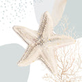 Oásis Oceânico 4 — estrela-do-mar — Pinto, Patricia