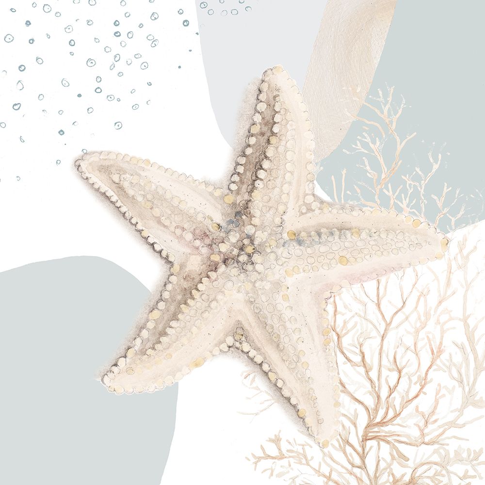 Oásis Oceânico 4 — estrela-do-mar — Pinto, Patricia