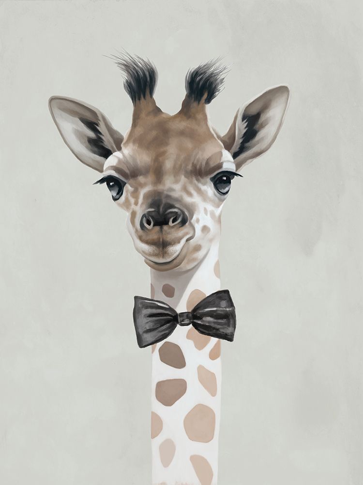 Girafa Esperta — Sheppard, Lucca