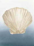 Concha do Litoral em Bege IV — Price, Lucille