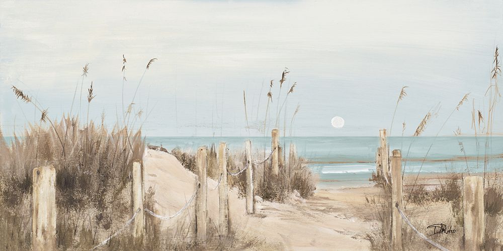 Lua Branca sobre Oceano Azul — Pinto, Patricia