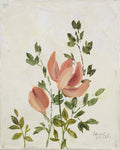 Floral Vintage II — Loreth, Lanie