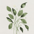 Refúgio Verde II — Krinlox
