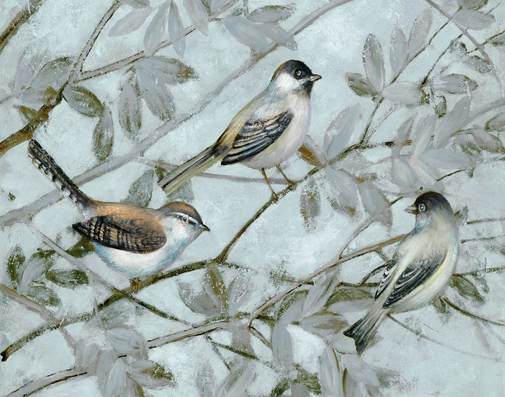 Pássaros Serenos II — Lorenzo Collective