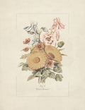 Buquê de Flores nº 8 — Meneely, Dan