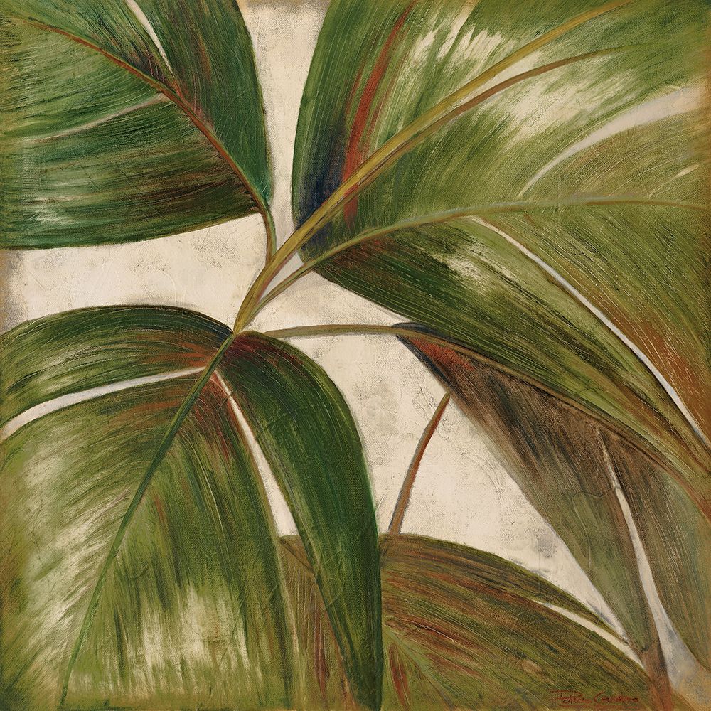 La Palmera III II — Pinto, Patricia
