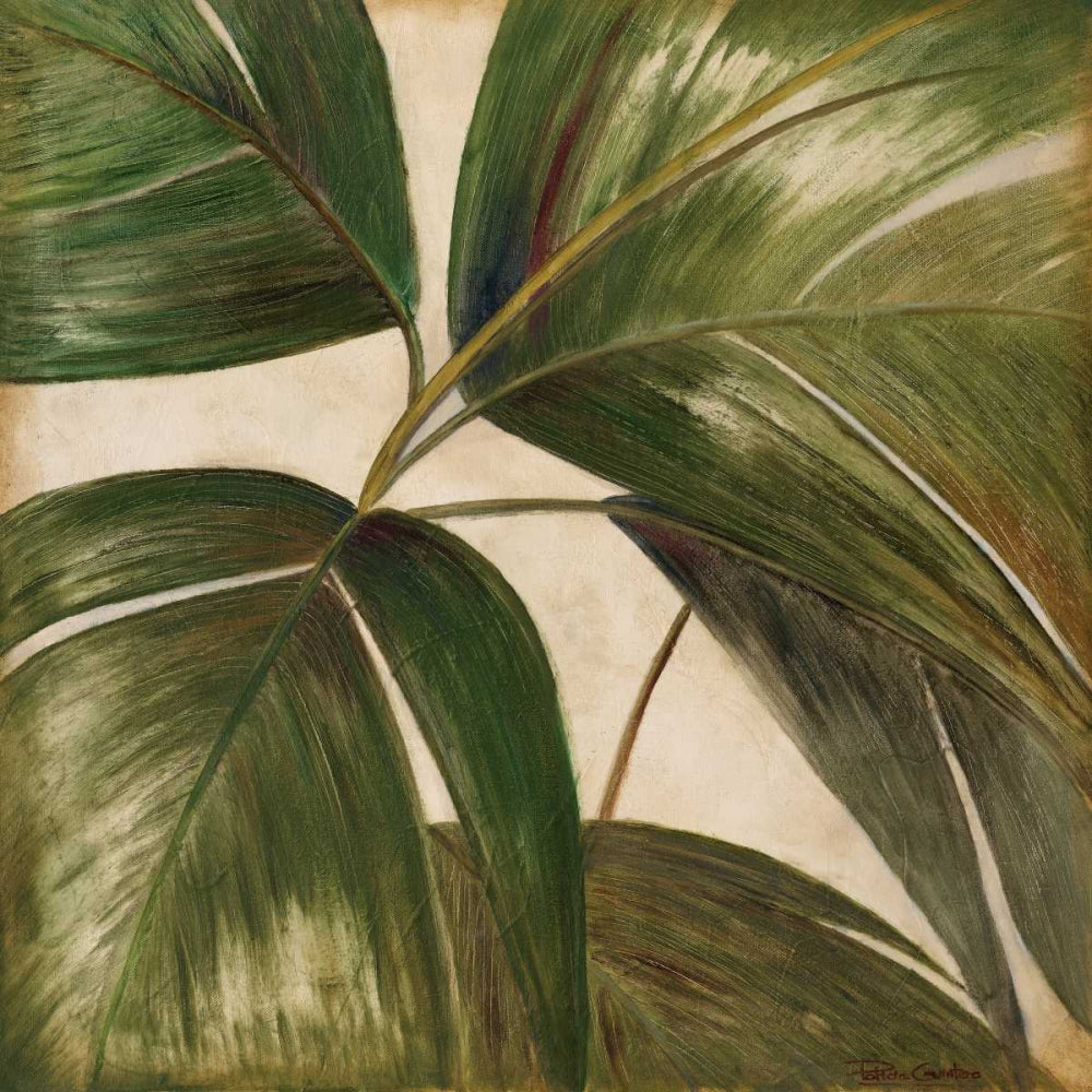 La Palmera III I — Pinto, Patricia
