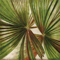 La Palmera IV — Pinto, Patricia