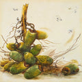 Racimo de Cocos I — Pinto, Patricia
