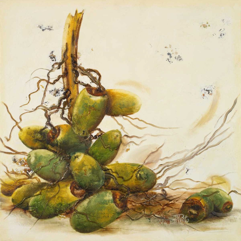 Racimo de Cocos I — Pinto, Patricia