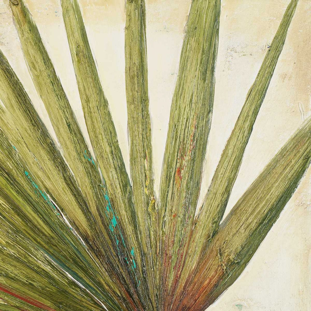 Orgânico II — Pinto, Patricia