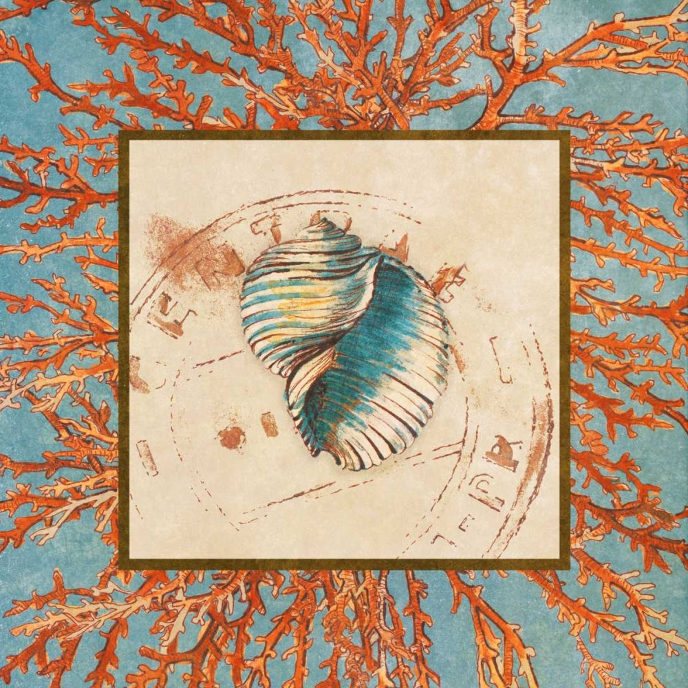 Concha em Mescla de Coral I — Loreth, Lanie