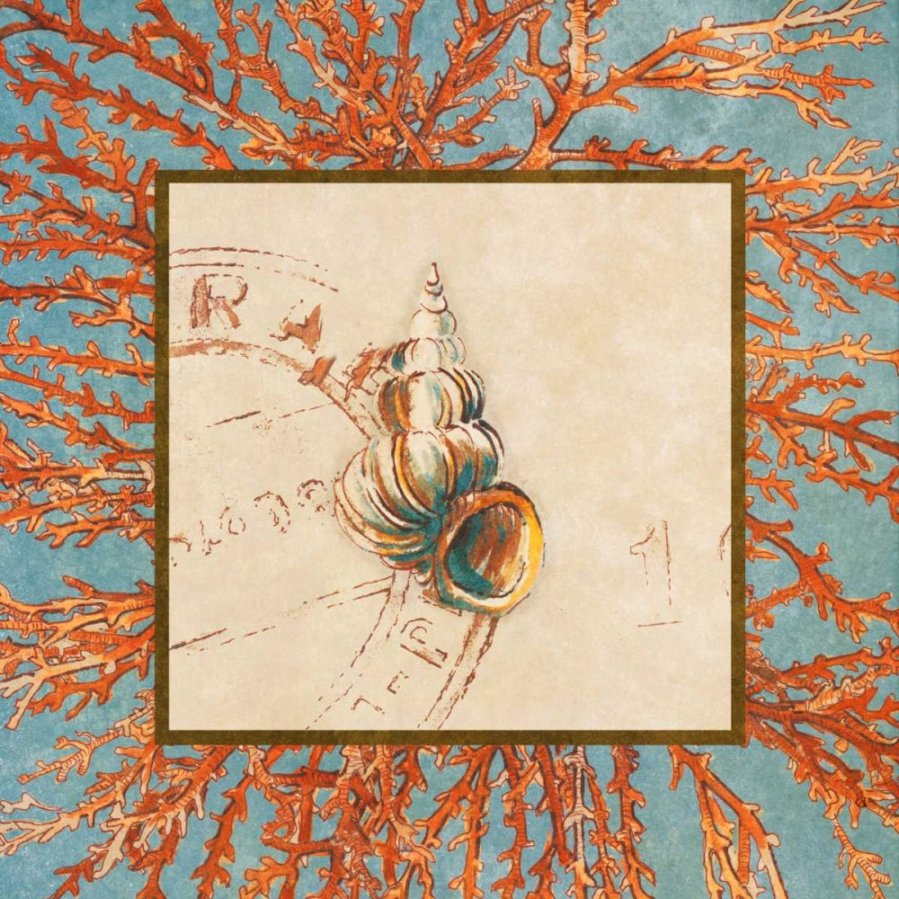 Concha em Mescla de Coral III — Loreth, Lanie