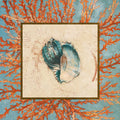 Concha em Mescla de Coral II — Loreth, Lanie