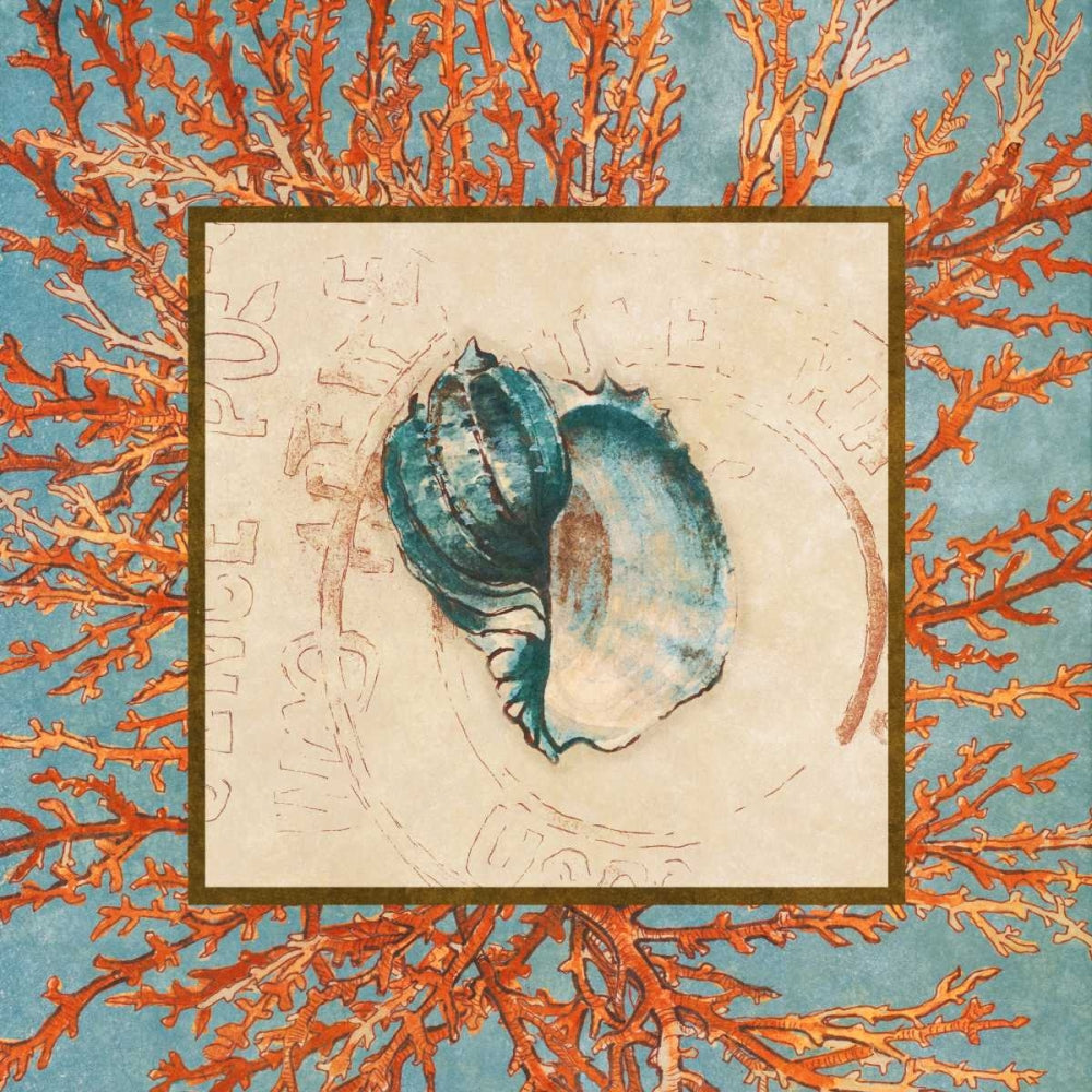 Concha em Mescla de Coral II — Loreth, Lanie