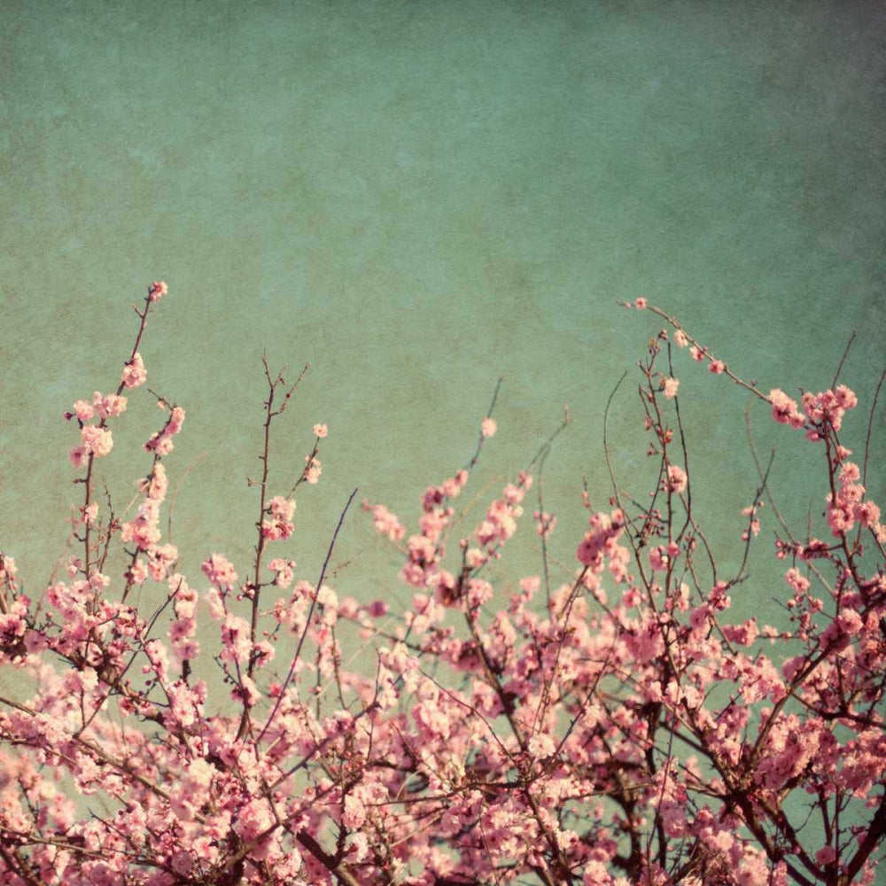 Tempo de Primavera I 1 — Bryant, Susan