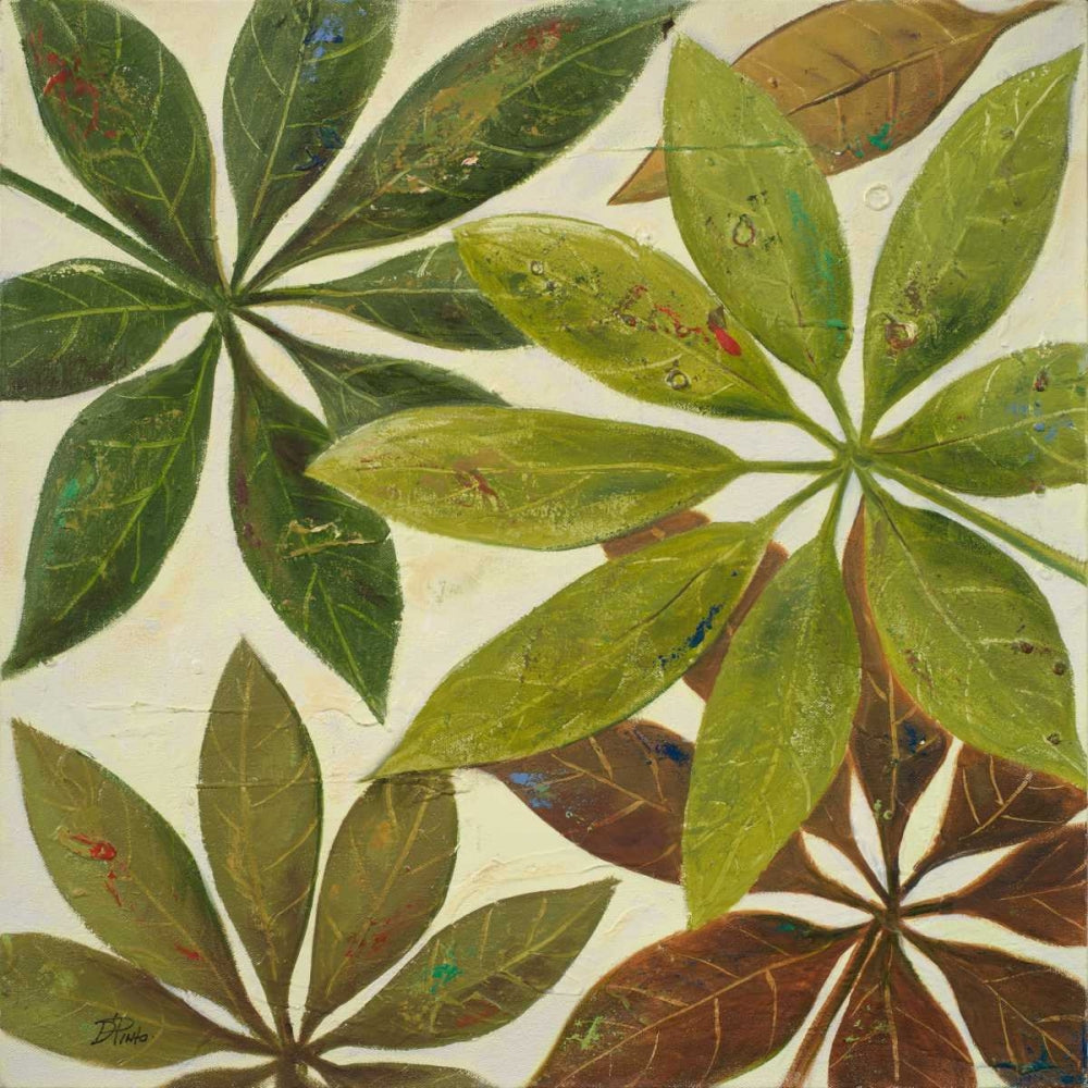 Toque Verde II — Pinto, Patricia