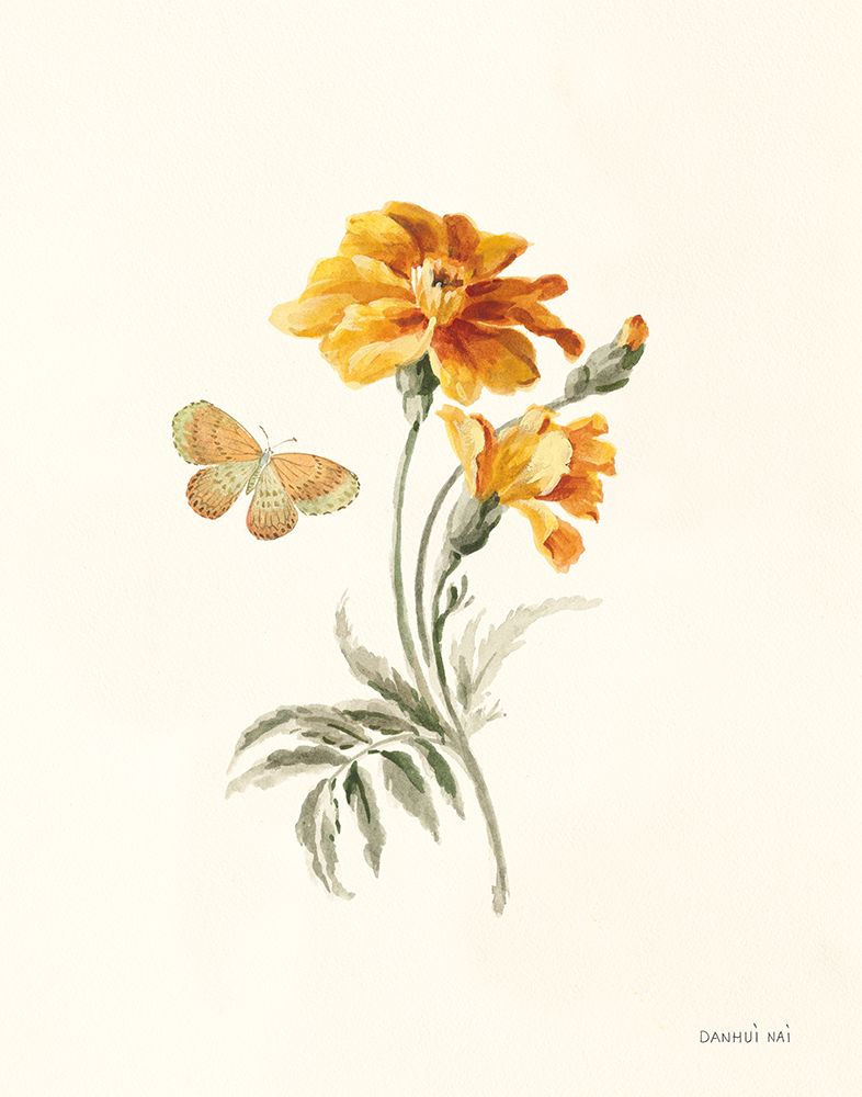 Calêndula de Outono I — Nai, Danhui