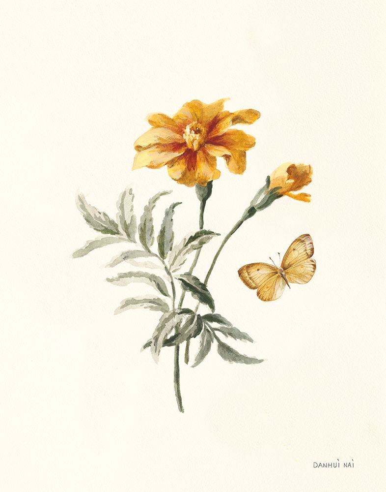 Calêndula de Outono II — Nai, Danhui