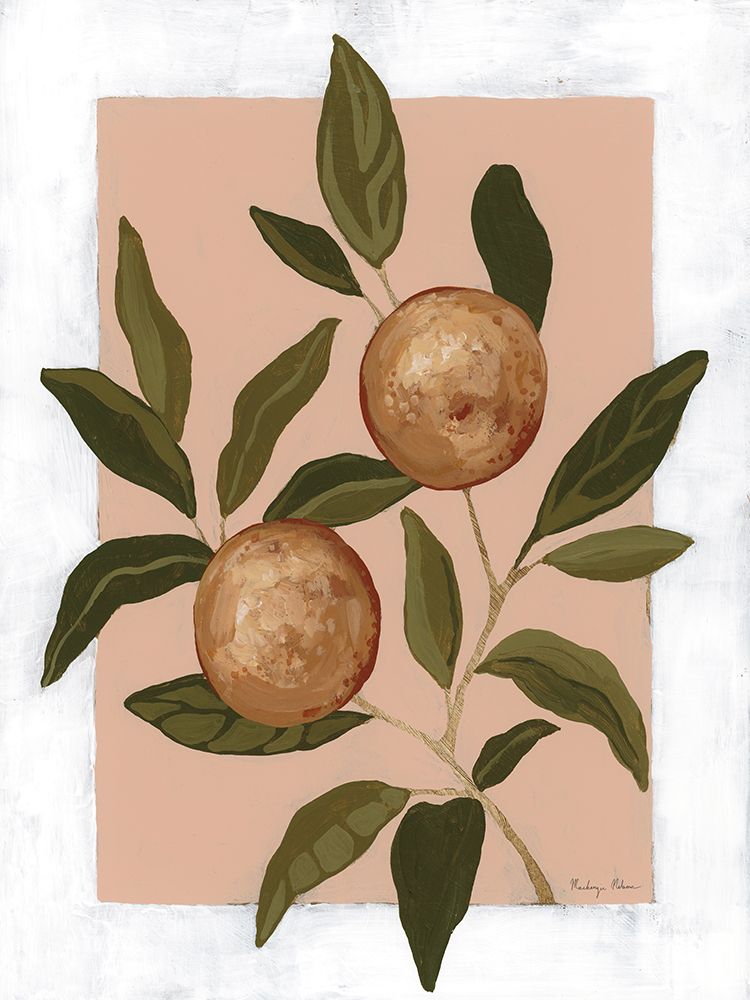 Estudo de Laranjas I — Nelson, Mackenzie
