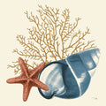 Vida do Oceano IX — Pelletier, Alain