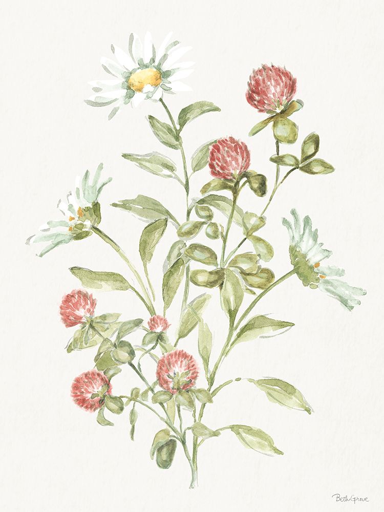 Gingado em Flor IX — Grove, Beth