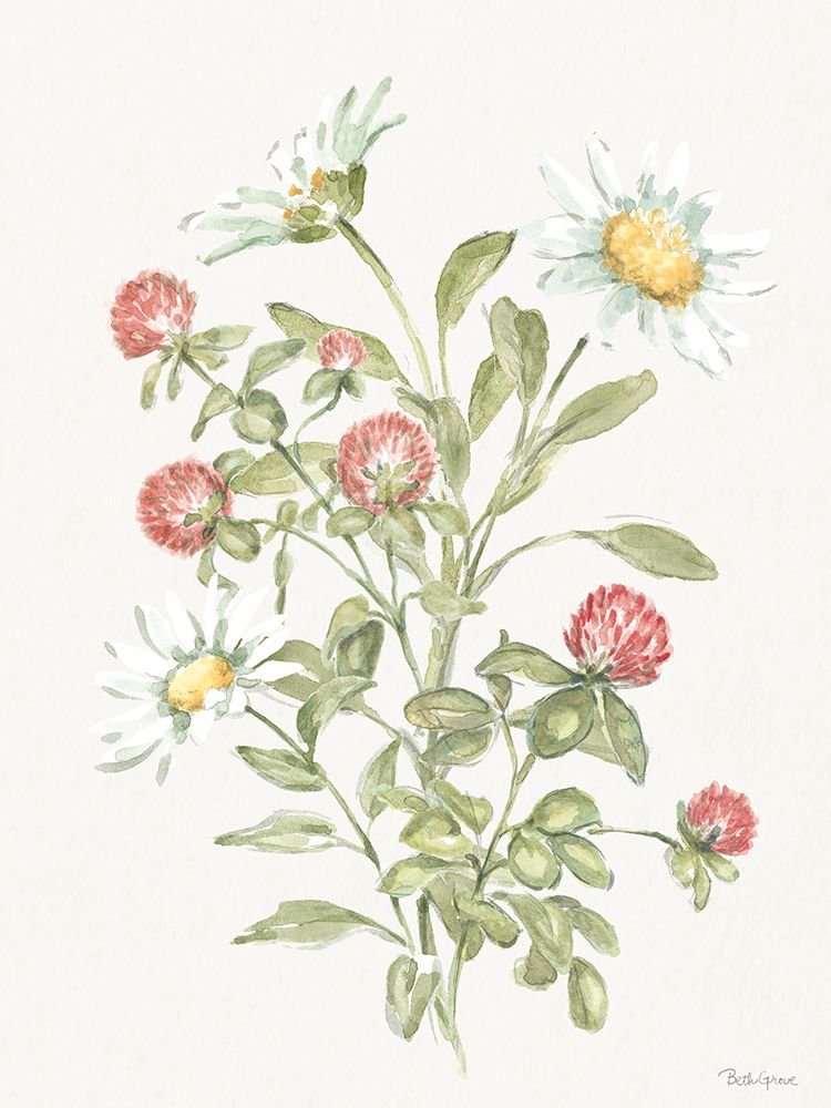 Gingado em Flor X — Grove, Beth