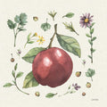 Jardim Ilustrado III — Trimbach, Leslie