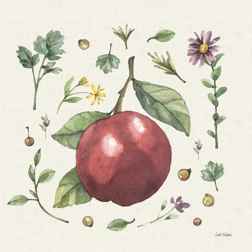 Jardim Ilustrado III — Trimbach, Leslie