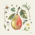 Jardim Ilustrado IV — Trimbach, Leslie