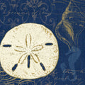 Luar Costeiro III — Pela Studio