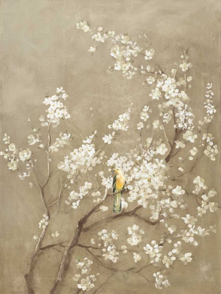 Cerejeira Branca Flor I Recorte Neutro Pássaro — Nai, Danhui