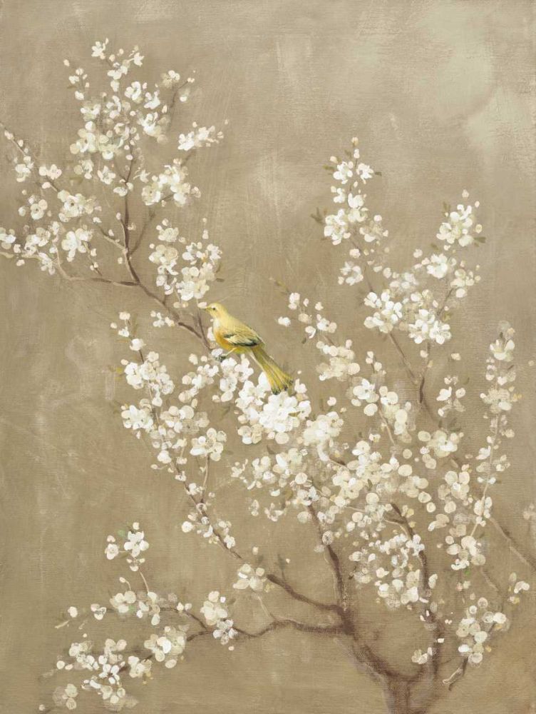 Cerejeira Branca Flor II Recorte Neutro Pássaro — Nai, Danhui