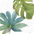Rubor Tropical VII — Audit, Lisa