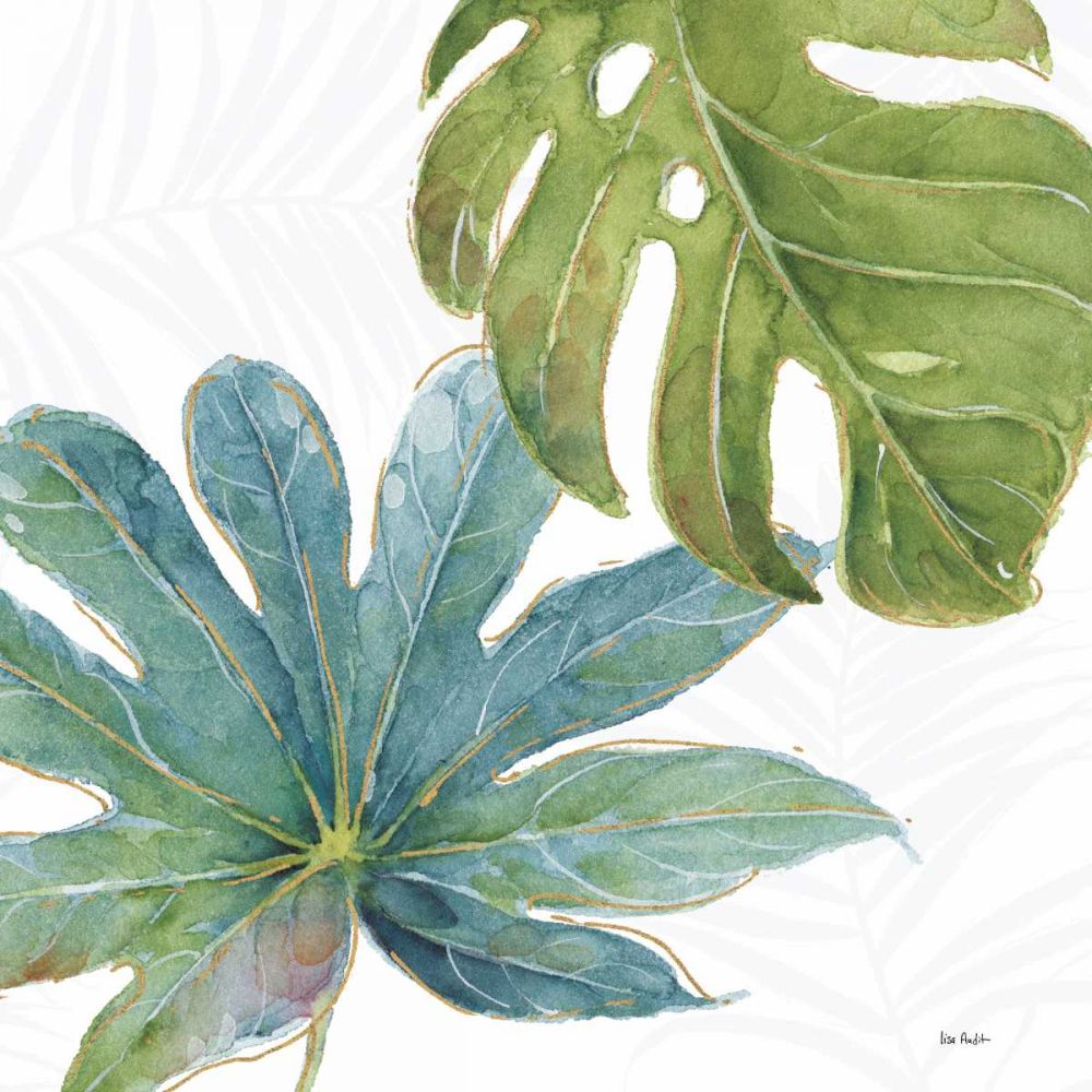 Rubor Tropical VII — Audit, Lisa