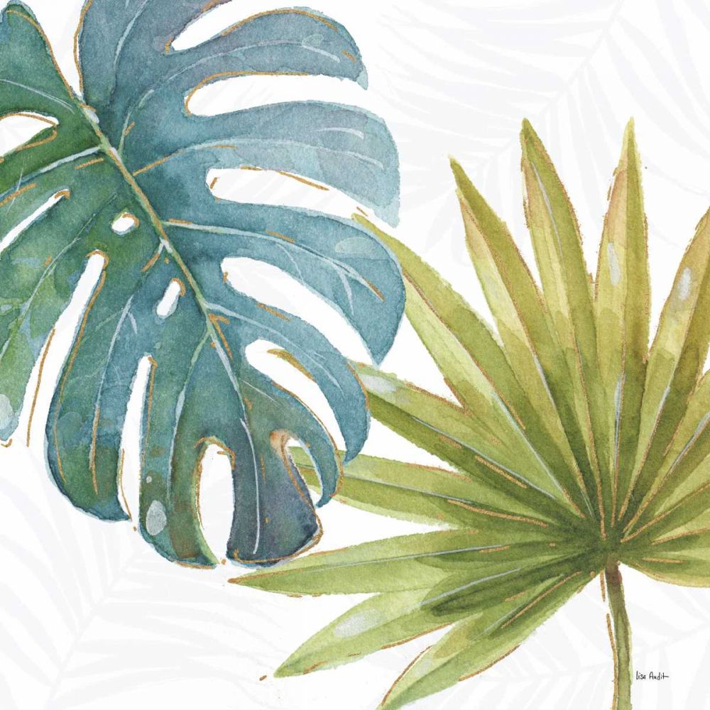 Rubor Tropical VIII — Audit, Lisa