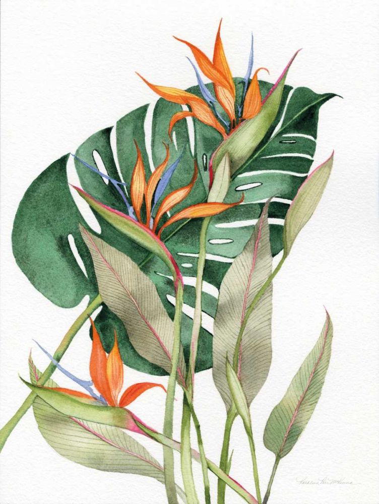 Pássaros Botânicos de Paraíso — McKenna, Kathleen Parr