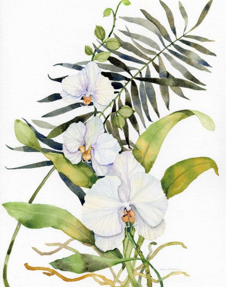 Falenópsis Botânica — recorte — McKenna, Kathleen Parr