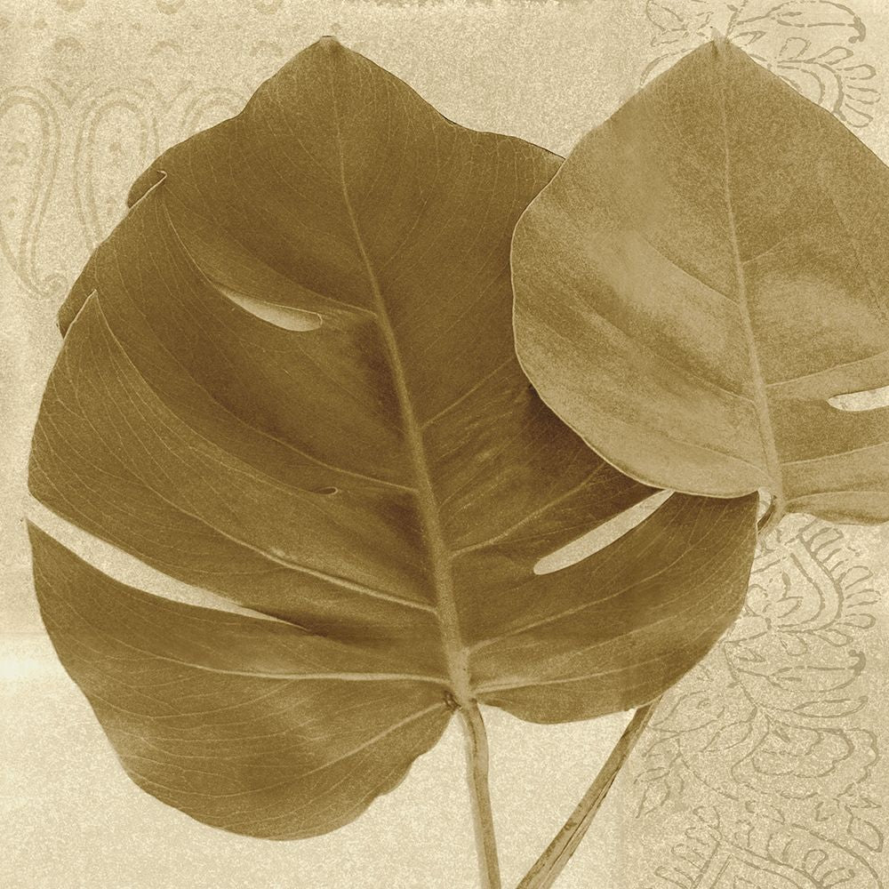 Folha de Costela-de-Adão Ornamentada II — Wild Apple Portfolio