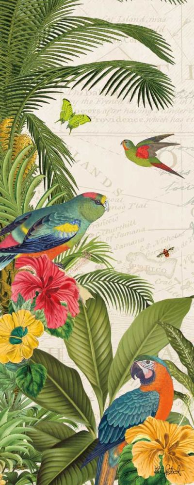 Paraíso dos Papagaios VI — Pertiet, Katie